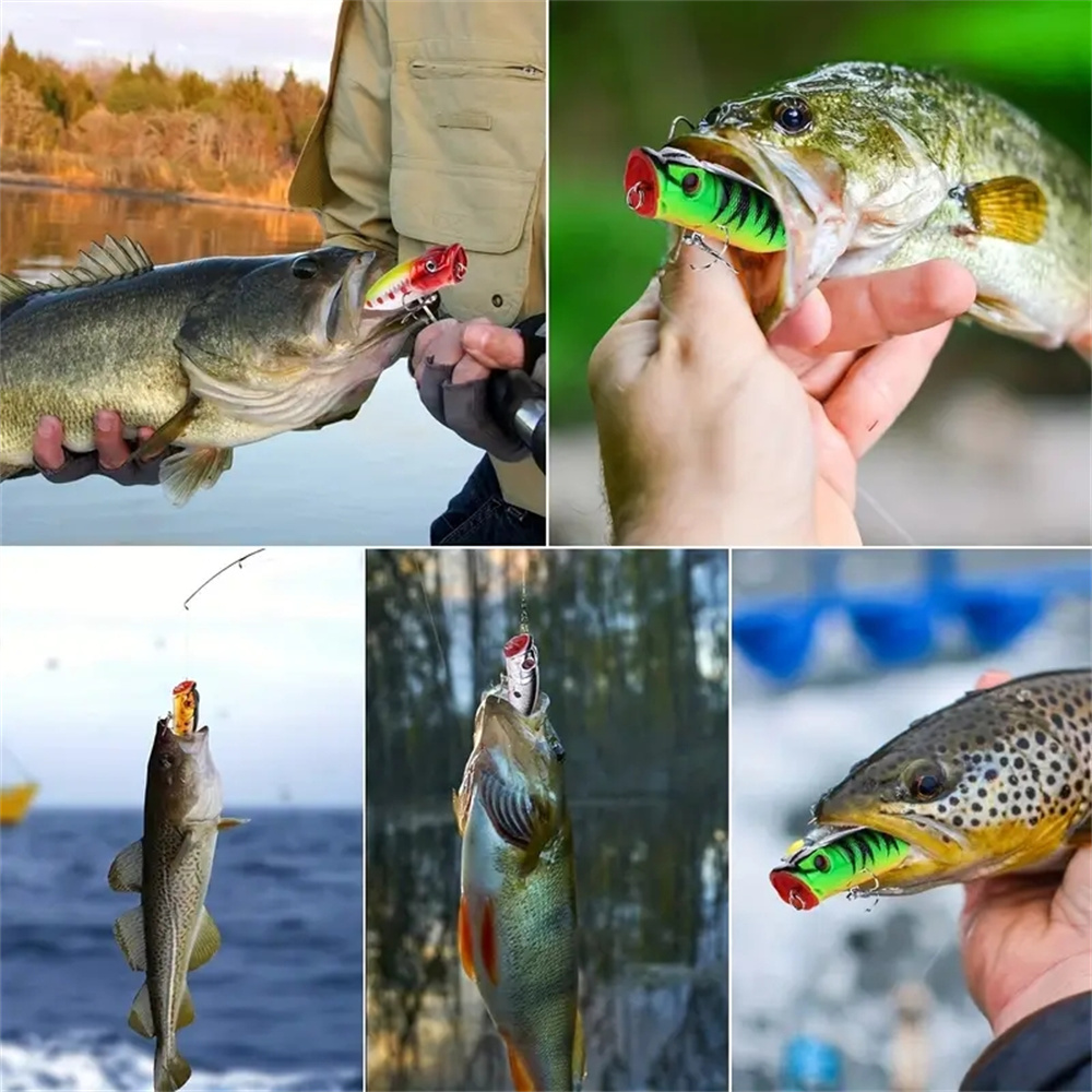 5Pcs Popper Fishing Lures 3d E - đánh giá và giá Fishing Lure Making Kit