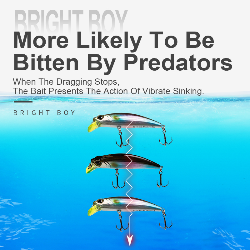 Vương Quốc Đánh Chìm Minnow Wo - đánh giá và giá Fishing Lure Crankbait