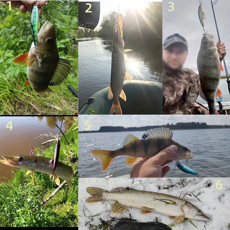 Aorace 5pcs/box Laser 3D Eyes  - đánh giá và giá Fishing Lure Making Kit